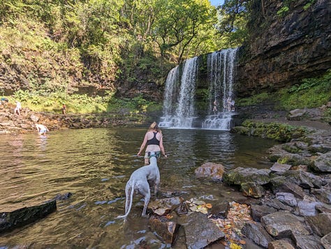 guided walk in the waterfalls area of the brecon beacons national park