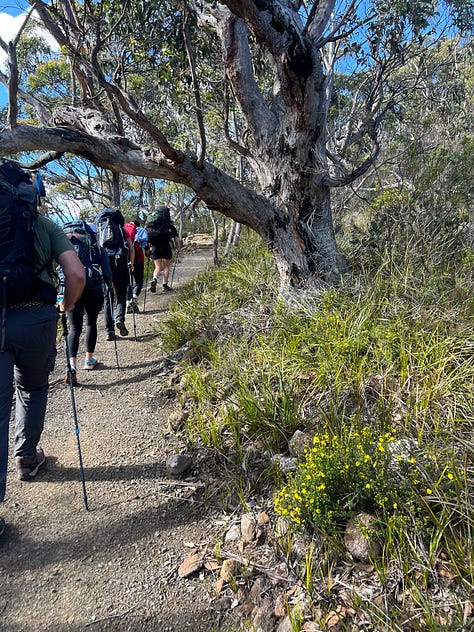 Pictures from our walk on The Three Capes Signature Walk with Tasmanian Walking Company