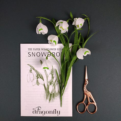 Three images of the paper snowdrop craft kits, with the flowers and instruction. booklets photographed against a dark green background.