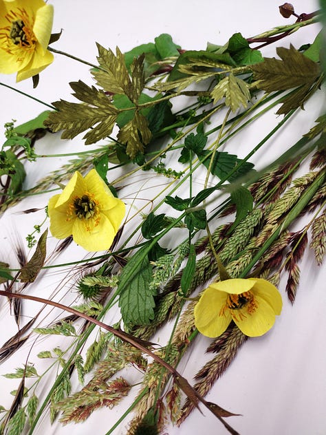 Wildflowers made of paper, including nettle and bramble leaves, catsear, buttercups and birdsfoot trefoil
