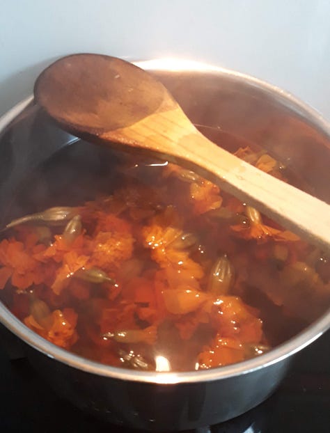 The marigolds bright orange in the pot, the white fabric lowered into the pot and dyed bright orange, the fabric after being fully submerged with a final mustardy yellow result