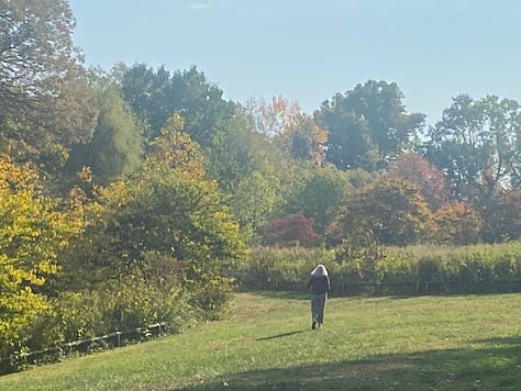 a woman walks towards a horizon of autumn trees, a woman sittings on a bench journaling, five women stand under a tree smiling