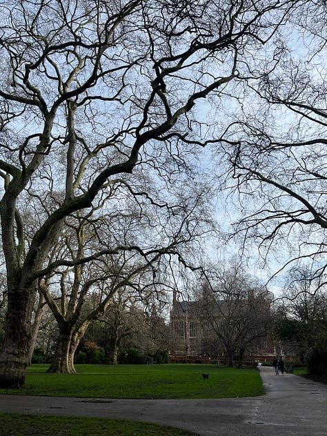 Lincoln's Inn Fields and the whimsical Sir John Soane's Museum