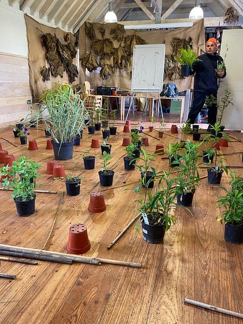 Playing at Dixter: Fergus demonstrating planting layouts; Christo's patio; and Marianne fireside. Photos via Marianne Willburn