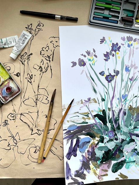 Paintings and sketches of the Mealy Primrose wildflower by artist, Jennifer Mohr.