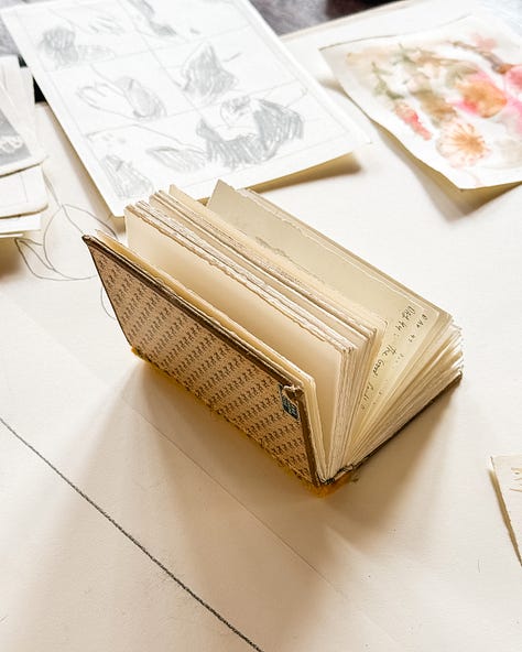 Book, watercolour plants, dog art