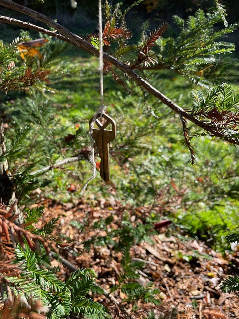 Series of 6 images described in text above: blue faery door, lamp in tree close up with mushroom, lamp in tree from far away with full tree, Sprite cans in crook of tree, key hanging from a string, painted rock wedged in tree bark with words "If it doesn't open, it's not your door" and a blue door