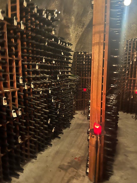 Gibbston-Valley-winery-tour-cave-wine-tasting-wine-barrels 