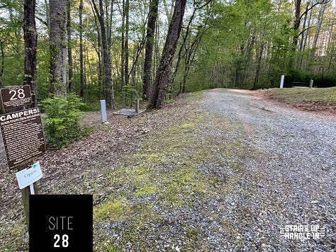 Morganton Point Campsites