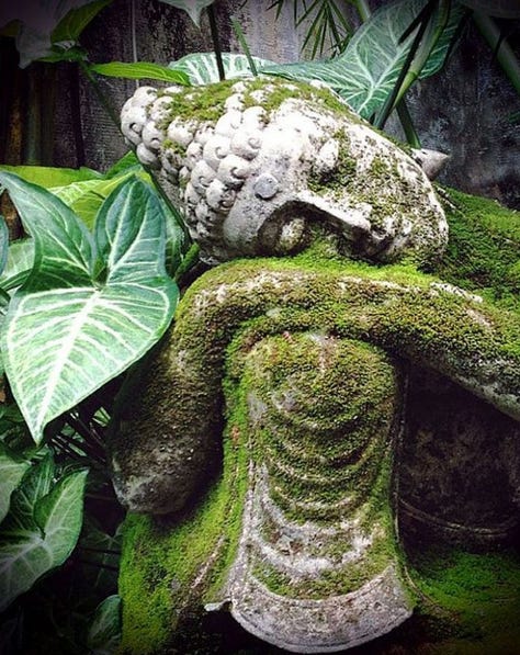 Children arm side by side, floral lungs, buddha statue sleeping