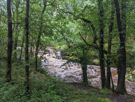 guided walk of the Brecon Beacons waterfalls