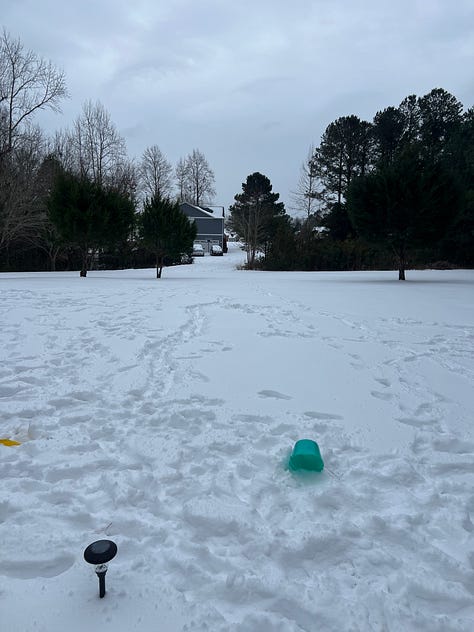 toddler holding blue nyon 2 balloon, 2nd birthday cake, a snippet from FURY, snow falling near a street lamp, kids looking at snow through the window, snow