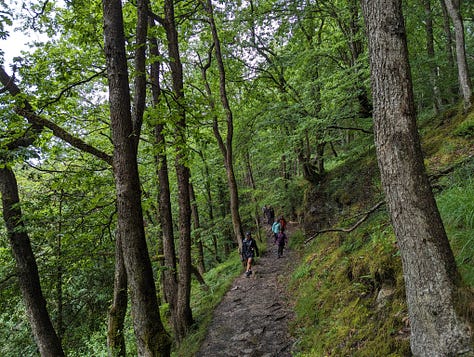 guided waterfall walking in the Brecon Beacons National Park