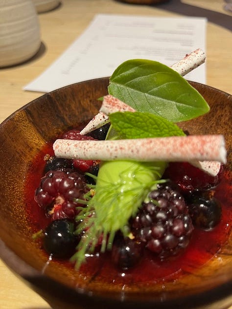 Images from inside The Small Holding with our menu, and example dishes, Halibut, Courgette & Basil (centre, bottom row); Garden Berries and Herbs (left bottom), and Scallop, Kohlrabi and Elderflower (right, centre) © The Lemon Grove