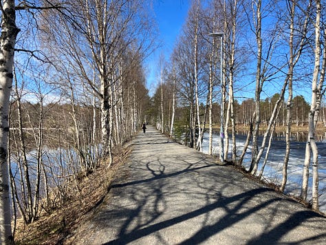 Paths on the island, bordered by trees and with water views