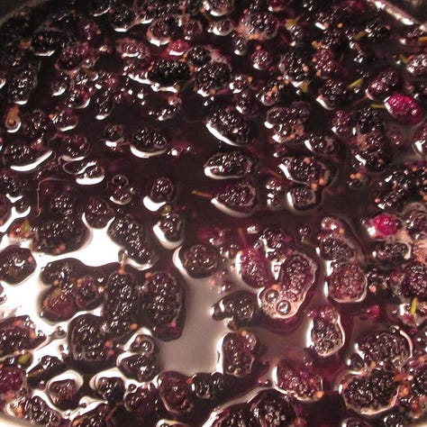 On the left, a hand holding several ripened mulberries. At center, a close-up shot of mulberry tree bark. On the right, mulberries are boiling in a stainless steel pot.