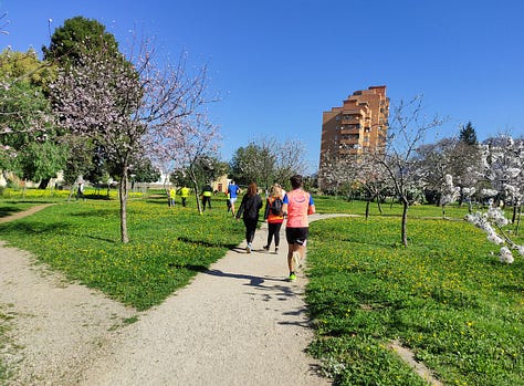 Wide paths in the park for some of the route