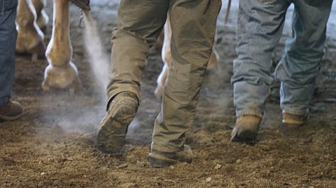 Nine photos from a fair. A closeup of the hand of a quilter; a man and a boy with blue sunglasses in front of a ride; a smiling face; human feet walking behind horses with dust; horse feet; men pulling hard on their horeseteam; horse team leaping out to pull weighted sled. two oxen standing in the sun; a young girl trying to wrestle one of the oxen on her team