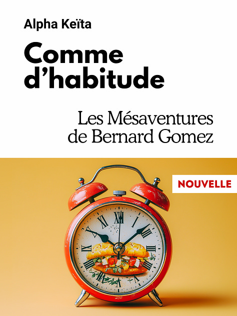 Série : Les Mésaventures de Bernard Gomez