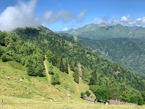 Oasi Zegna, mont Rubello and santuary S. Bernardo, Trivero (Biella, Italy)