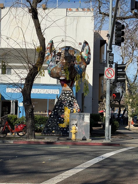 Photos of a tree, a city view of sutro tower, and a cat sculpture