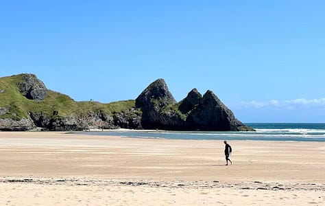 vies of gower beaches