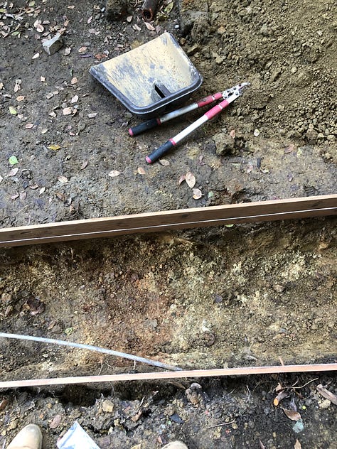 Site cleared of debris, removing the old foundation, digging the new footings, building squared wooden forms for the concrete, and the build science detail.