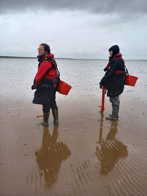 A row of tanks in a utility room; containers of seed balls; expanse of tidal mudflat; seed pillows piled up on beach; selfie with waterproofs and layers; two people with pottiputkis.