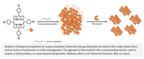 Shaping Nanoparticles with Enzymes