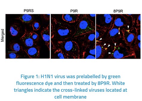 A Dual-Functional Antiviral Peptide Inhibits Two Entry Pathways of SARS-CoV-2