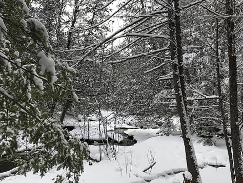 Winter trails in Chelsea Quebec