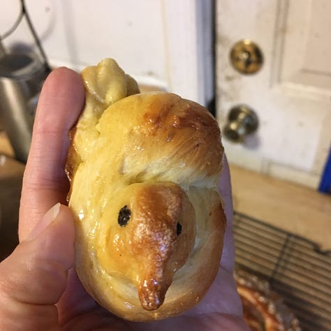 Several photos of challah that I’ve made for Shabbat Shirah in the shape of birds in a nest.