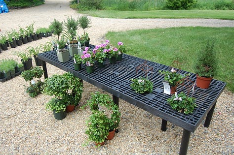 Working on our herbal and shrub crops and products.