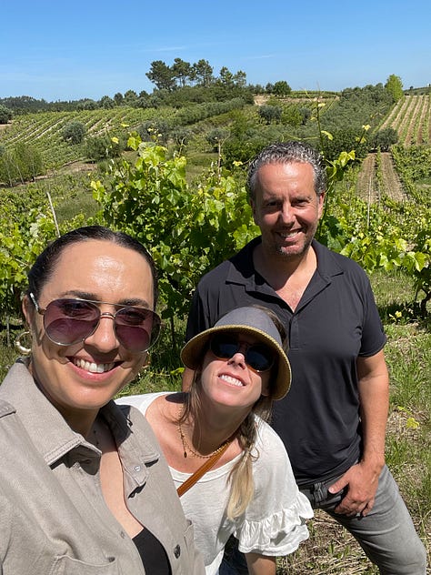 Baga vineyards Giz by Luis Gomes