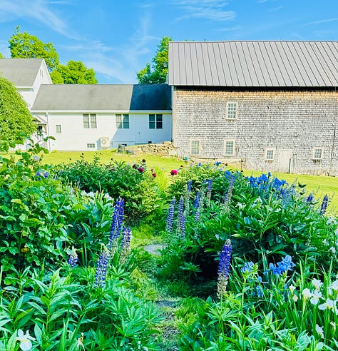 Foxglove, lupine, iris, roses, peonies, and rhododendron.