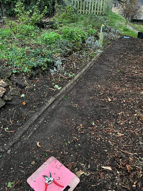 1. Lavender freshly-trimmed to help encourage new growth come spring; 2-3. The concrete posts revealed to reset the medicinal bed edging.