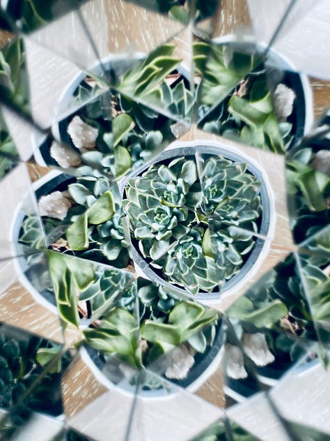 Photos of plants, stickers, pantry items through a kaleidoscope
