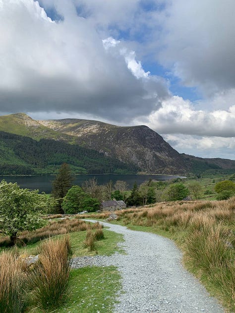 scenic views of natur and the hillside on snowdon, north wales
