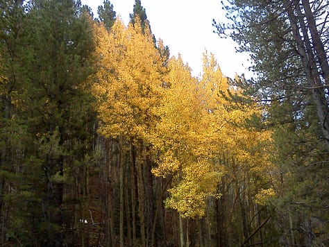 Our camper, fall and winter in the mountains