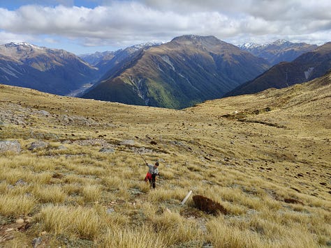 Carroll Hut, Kellys Hill and surrounding landscape