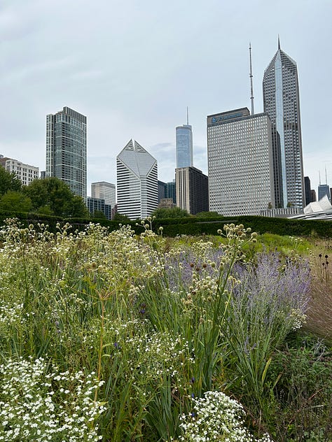 photos of free things to do in Chicago, as described in the caption.