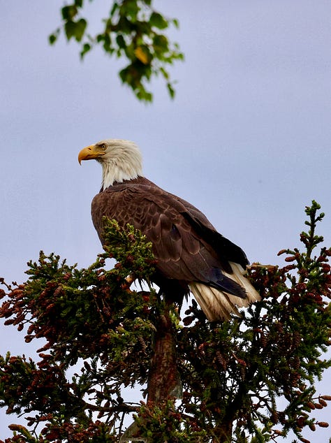 Outdoor images in Alaska