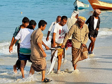 Socotra people