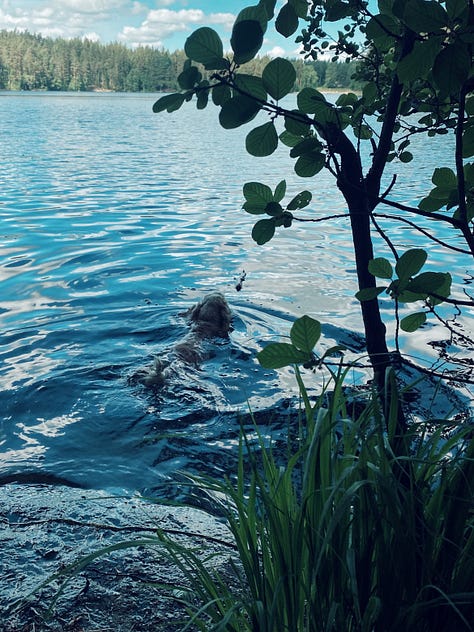 june in finland