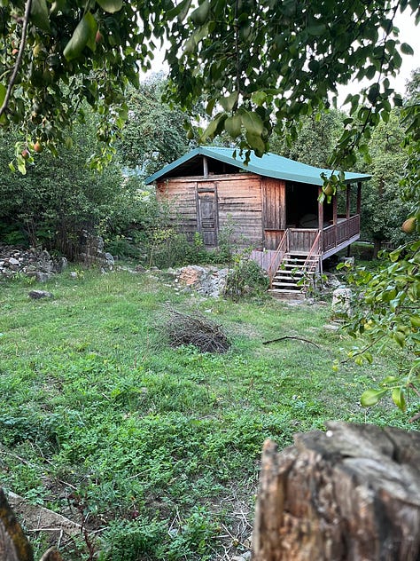 Dave's grandmother's house, its interior, a tkemali plum tree; hive in the garden, Nellie's porch, icons; mallow flowers, zinnias on the path to the outhouse, grapevine arbour