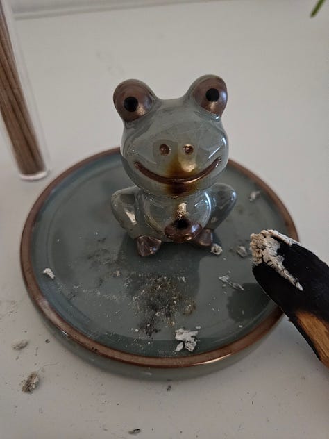 frog