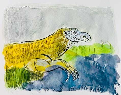 illustrations of Komodo dragons by Beth Spencer