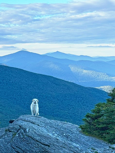From the tops of Mts Mansfield and Abraham and Camel's Hump