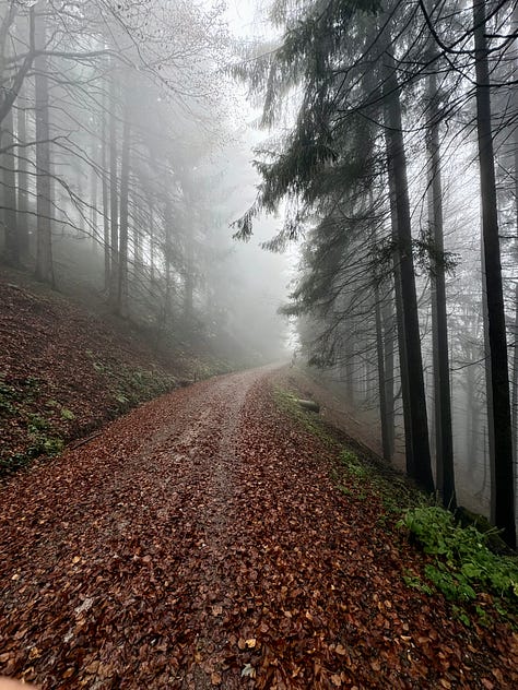 Various mountain photography in autumn