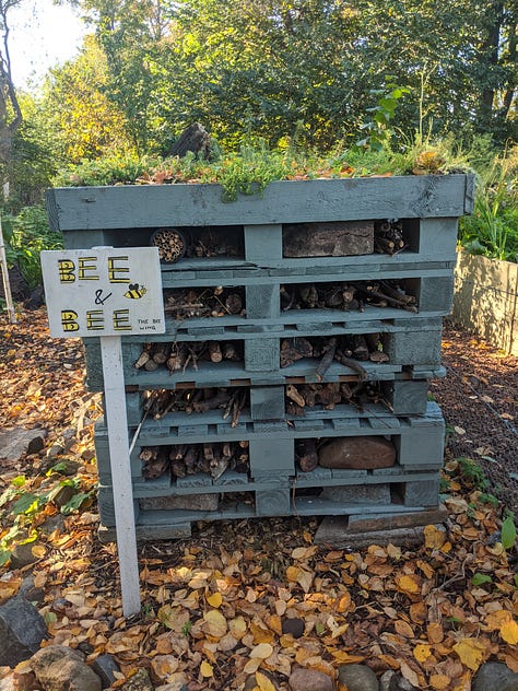 A community garden featuring bee & bee (bug hotel), vegetable patches, willow structures and signage listing information for volunteers and visitors 